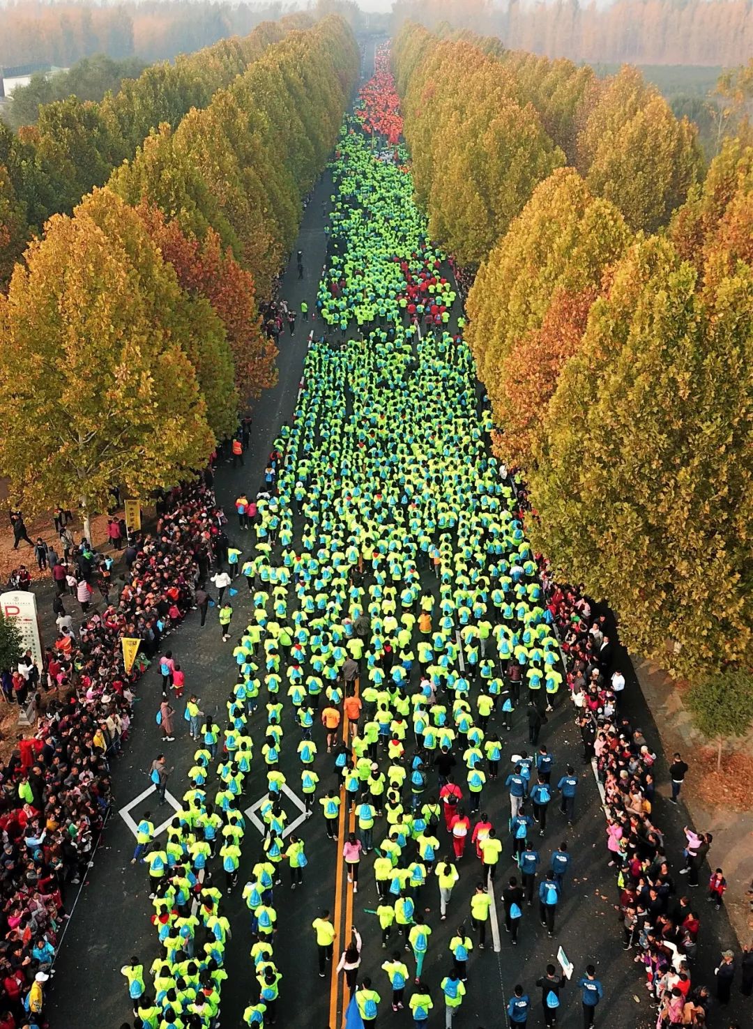 东明黄河生态马拉松_菏泽东明马拉松2021_东明马拉松路线