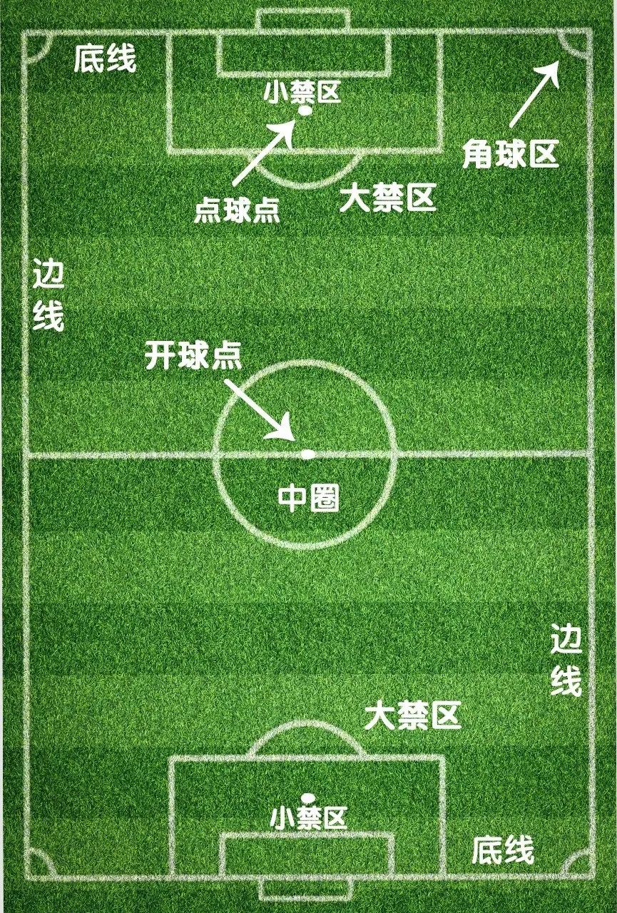 足球规则替补区_足球赛替补_足球替补区域
