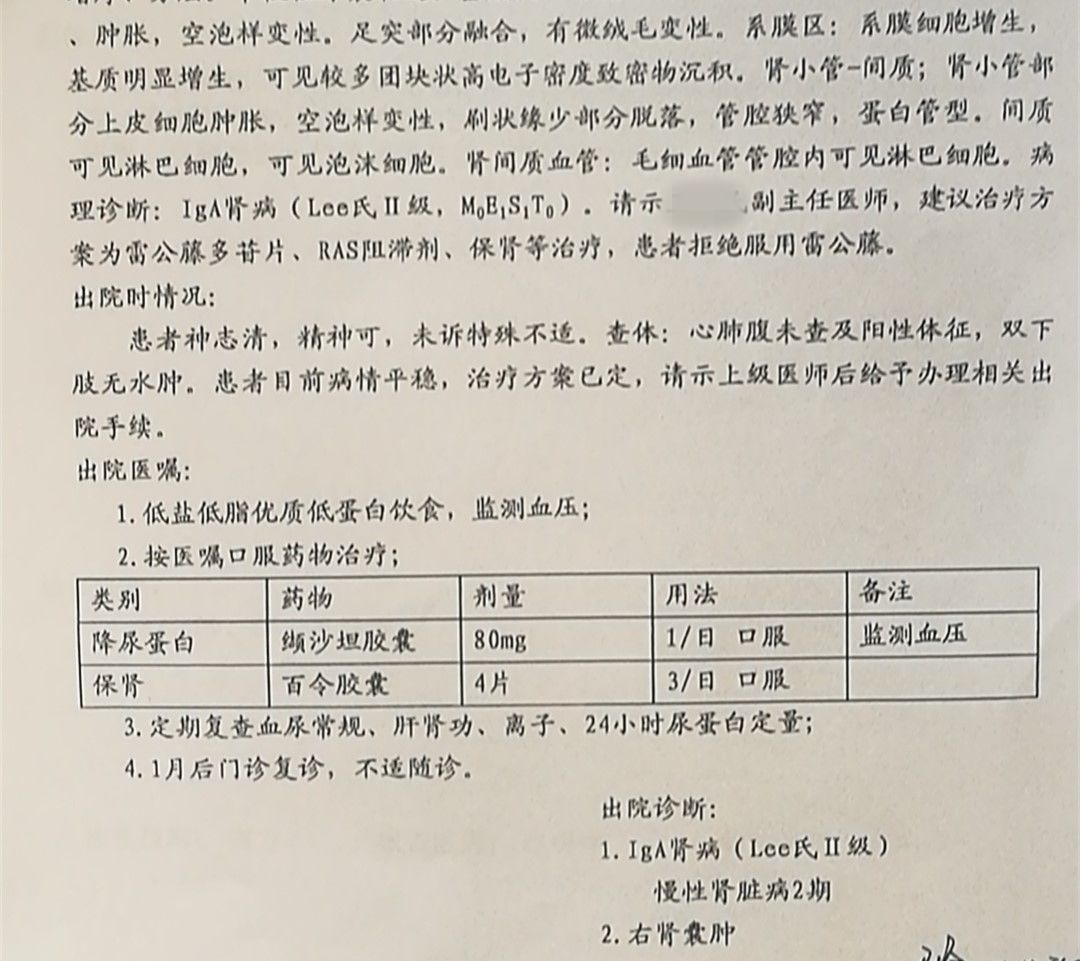 尿常潜血+1什么意思_尿常规潜血的临床意义_尿潜血的基本常识