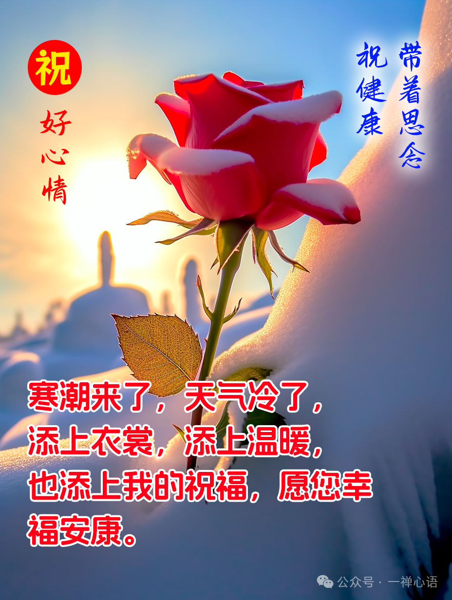 身体健康心想事成英文怎么写_事身体健康心想成语怎么说_身体健康 心想事成
