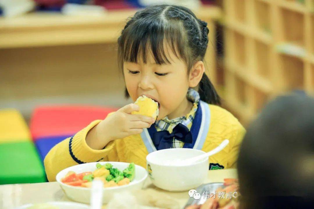 营养搭配健康午餐图片_健康营养的三餐搭配_营养搭配健康饮食
