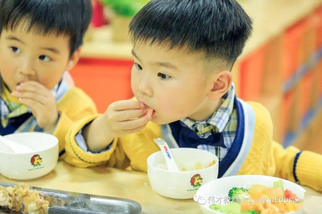 营养搭配健康饮食_健康营养的三餐搭配_营养搭配健康午餐图片