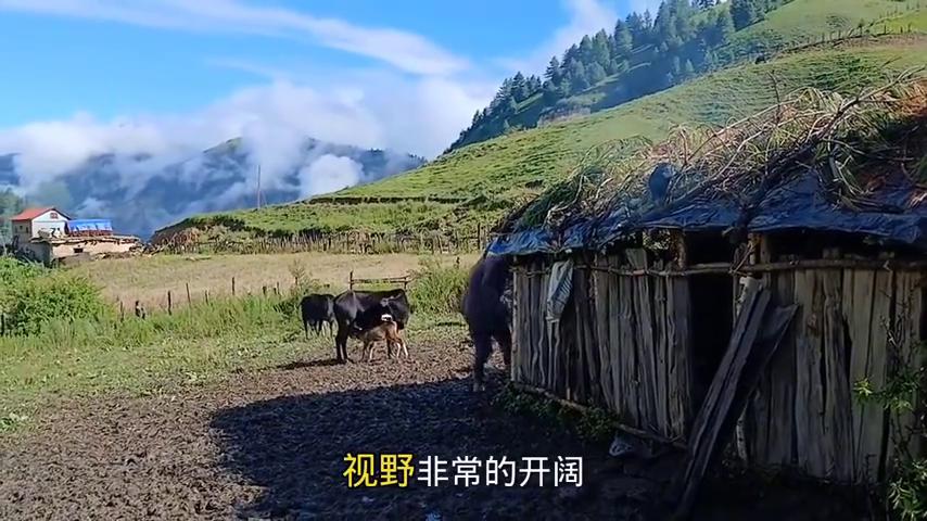 这里的生活方式和山区一样_山区的生活感受说说_山区的生活