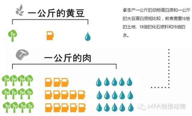 动物世界举重冠军是谁_举重最强的动物_世界上动物举重冠军是什么