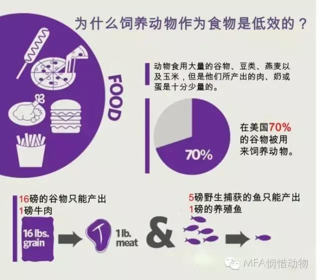 动物世界举重冠军是谁_世界上动物举重冠军是什么_举重最强的动物