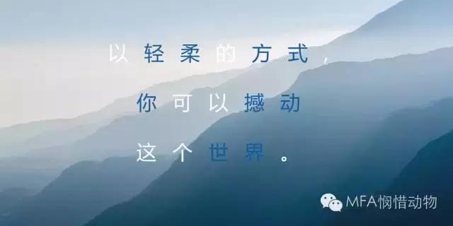 动物世界举重冠军是谁_举重最强的动物_世界上动物举重冠军是什么